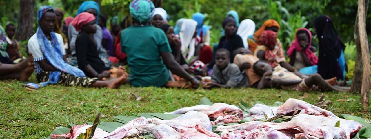 distribution-of-meat